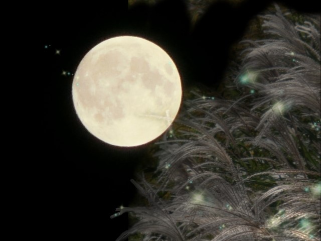 中秋の名月イメージ
